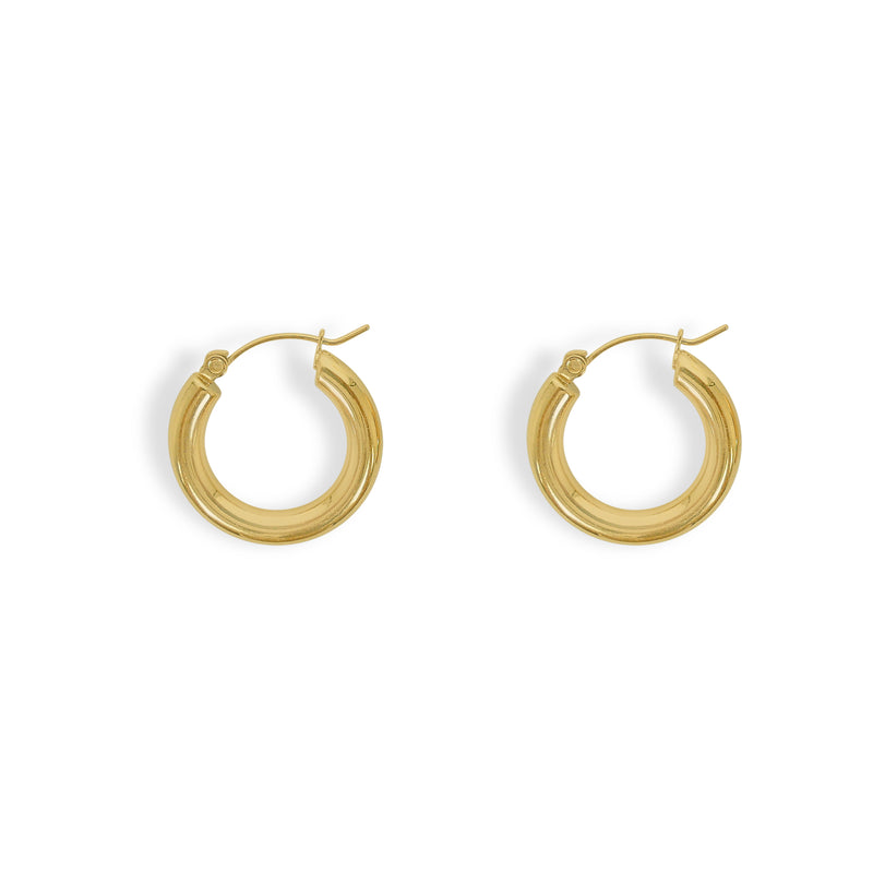 Alora Gold Hoop Earrings